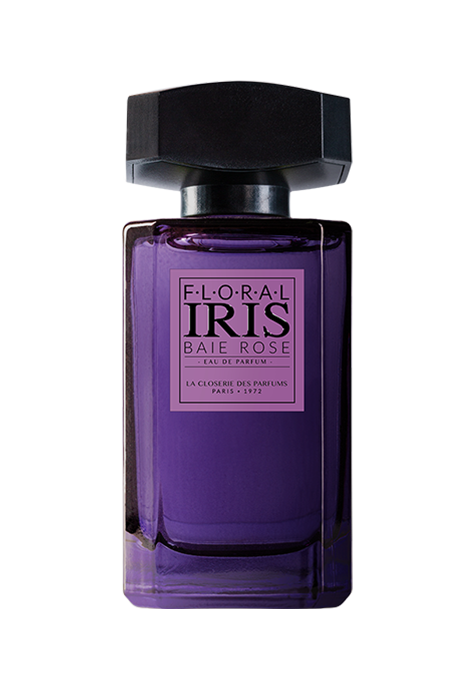 IRIS BAIE ROSE